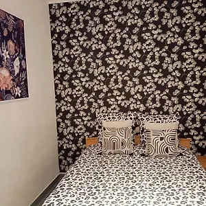  Appartement Hyper Centre 1 Jardin Clos
